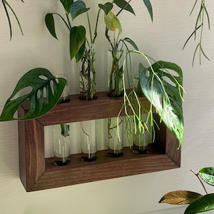 Plant Propagation Station, Gift for Plant Lovers, Wooden Wall Mounted Cutting Propagator