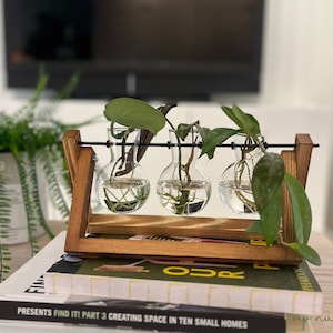 Plant Propagation Station for Plant Lovers Gift Set Plant Mom Home Decor Plant Gift Desk Decor Office Housewarming Decor Dorm Planter Gift