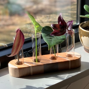 Modern Mixed-Hardwoods Propagation Station - Four Tube - Stem Vase Holder - Ships Next Day